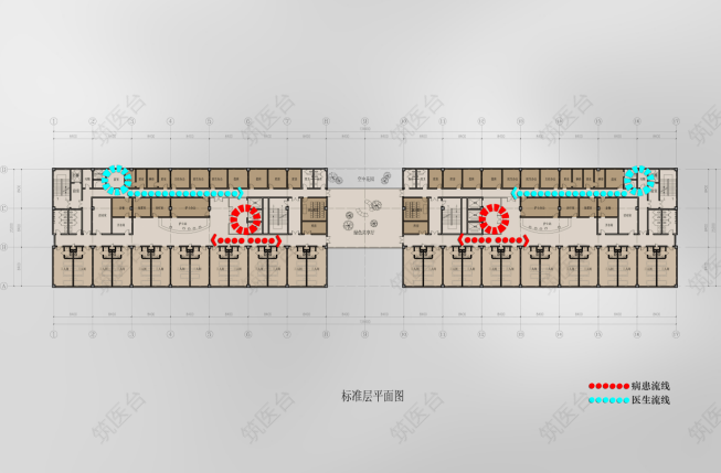 医院标准层平面流线图