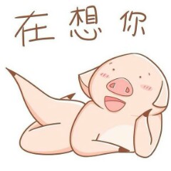 专家头像