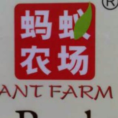 专家头像