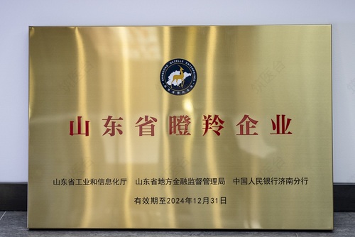 山东省瞪羚企业