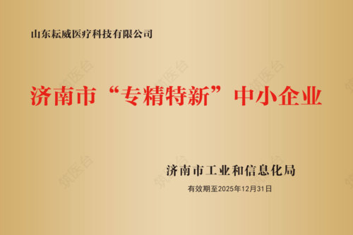 济南市专精特新证书