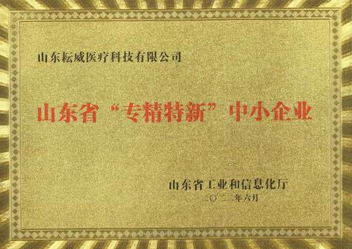 山东省专精特新证书