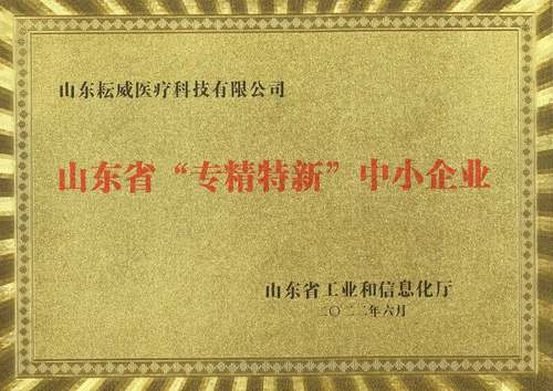 山东省专精特新证书