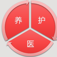 专家头像
