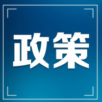 专家头像