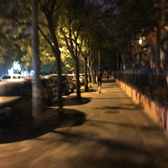 专家头像